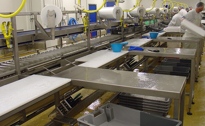 Fish trimming-fileting line - Guelt