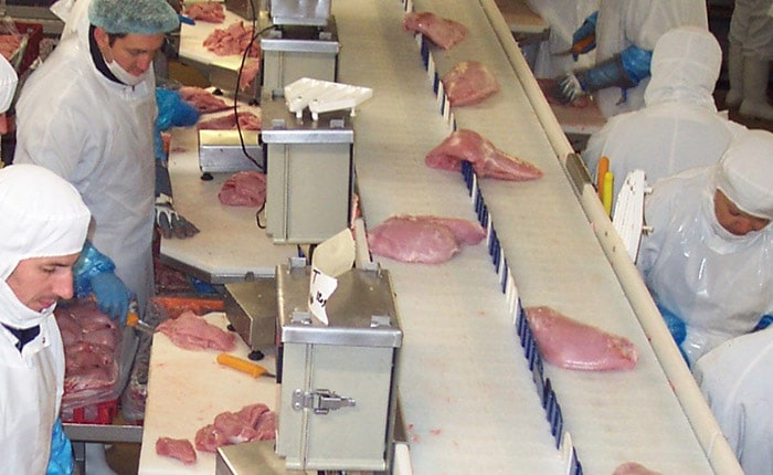 Workstations - Poultry cutting line - Guelt